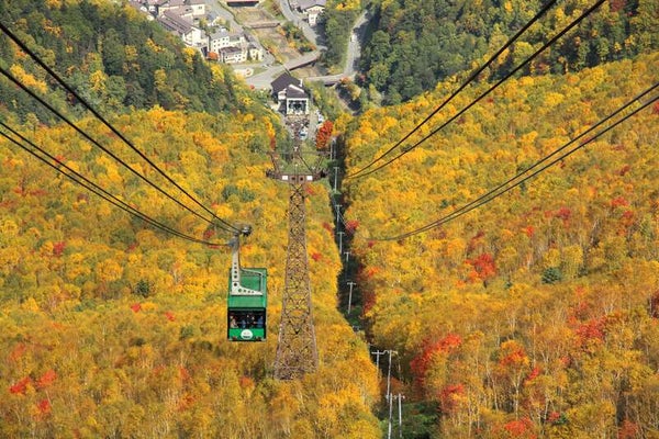 【伊丹空港発着】 紅葉の層雲峡「黒岳ロープウェイ」と釧路湿原・阿寒湖遊覧船・網走監獄・さっぽろオータムフェスト4日間 現行車両での運行は今年がラストラン「夕陽ノロッコ号」に乗車!3